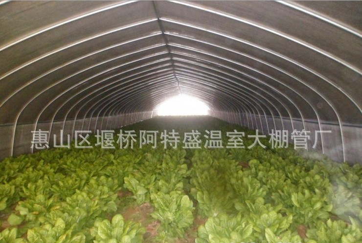 养殖大棚 单栋大棚 花卉大棚 物美价廉 薄膜大棚